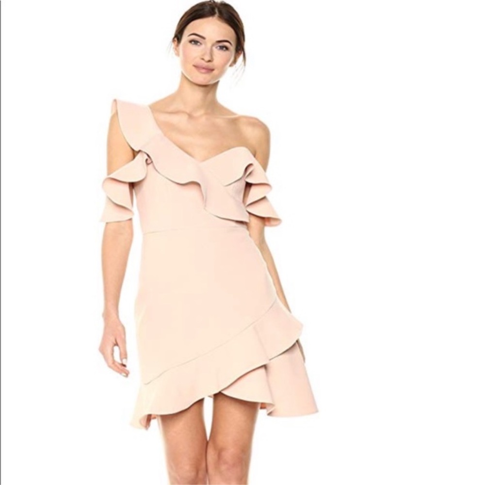 BCBGMaxAzria Blush Dress
